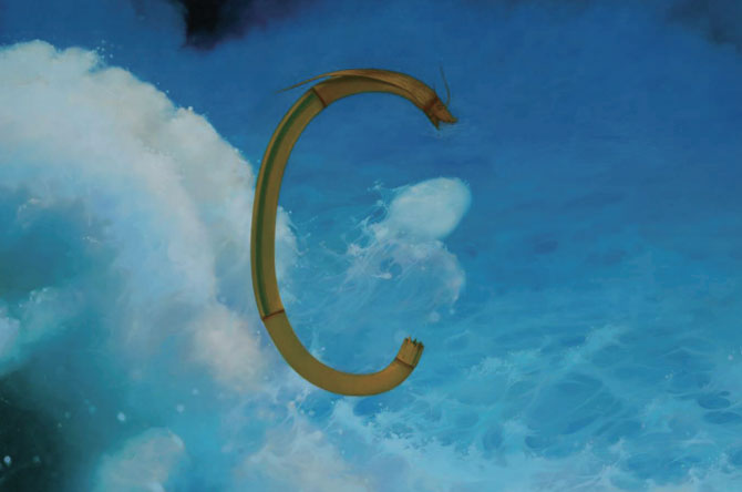 玲珑